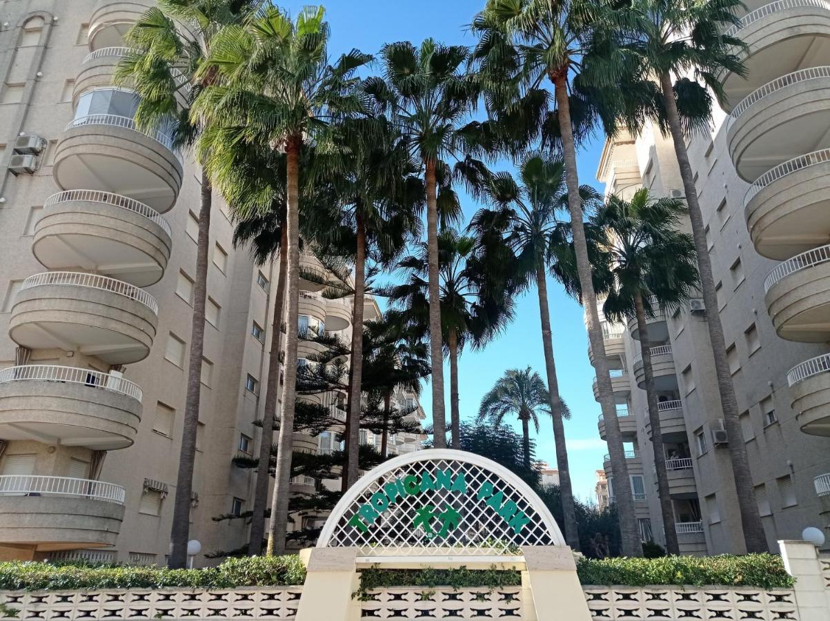 Tropicana Park Solo Familias Serviplaya Gandia Zewnętrze zdjęcie